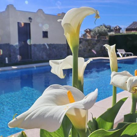 Chalet Bella Mendoza Conil De La Frontera Εξωτερικό φωτογραφία