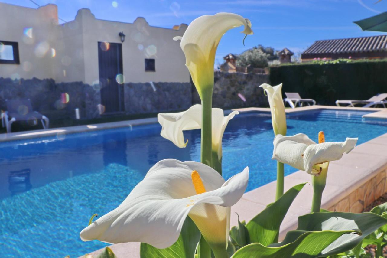 Chalet Bella Mendoza Conil De La Frontera Εξωτερικό φωτογραφία