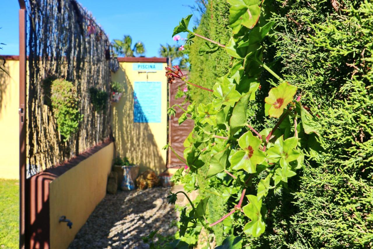 Chalet Bella Mendoza Conil De La Frontera Εξωτερικό φωτογραφία